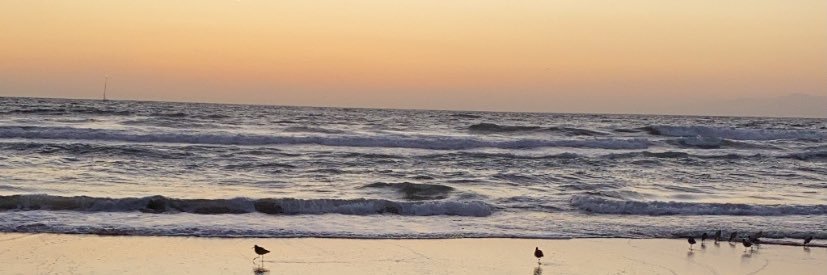 andreanicoleAH's profile banner image