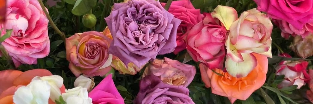 MMeryemleb's profile banner image