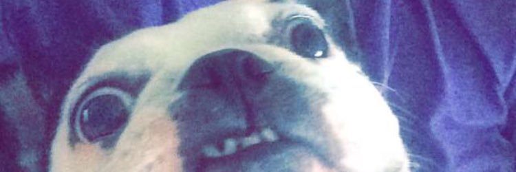 TheLegend312's profile banner image