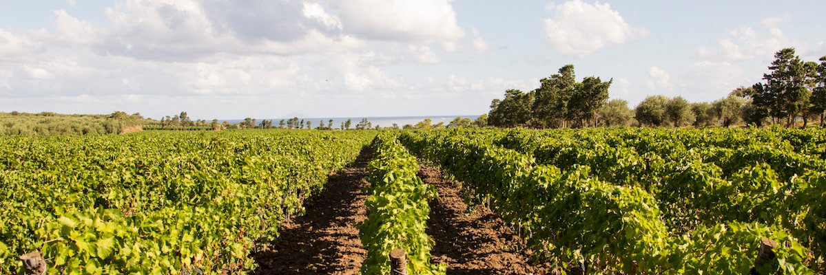 WiningPress's profile banner image