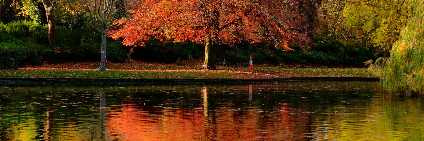 Seán Smithers banner