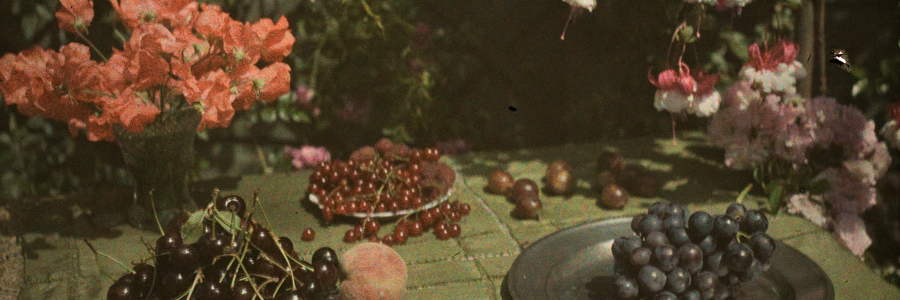 Virghost 👻 banner