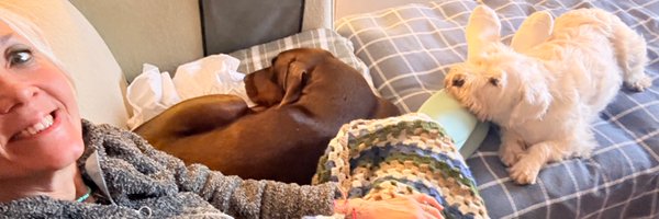 mucurbe Profile Banner