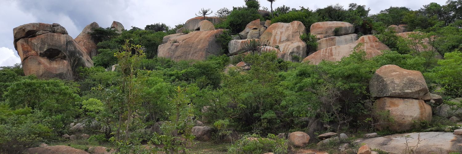 Tapiwatan's profile banner image