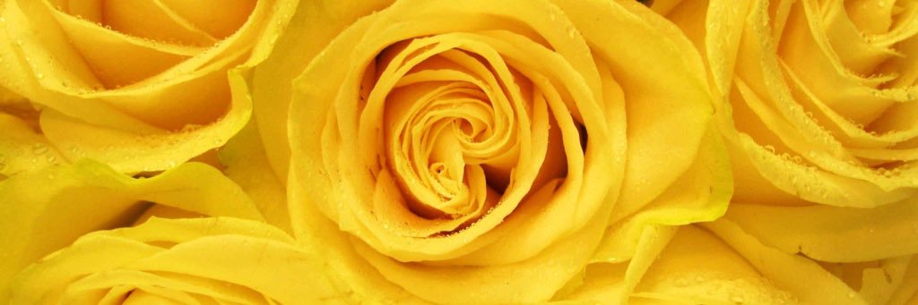 teciaaboo_'s profile banner image