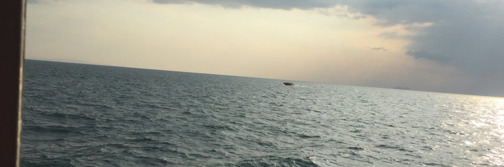 PALMM_PA's profile banner image