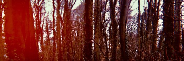 WDDS_music Profile Banner