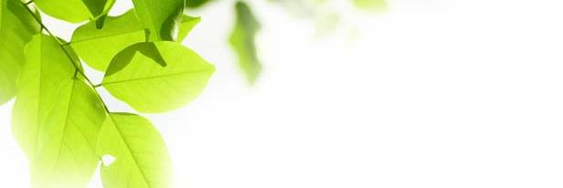JokeDelrue's profile banner image