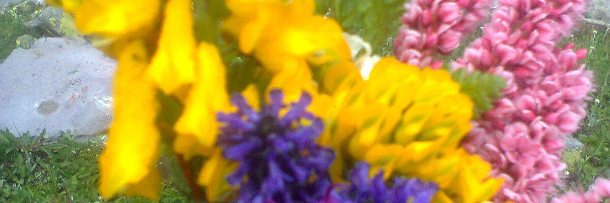 gopalprasad780's profile banner image