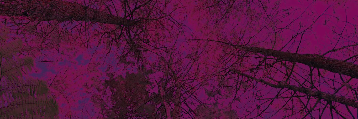 hasanzulyaden's profile banner image