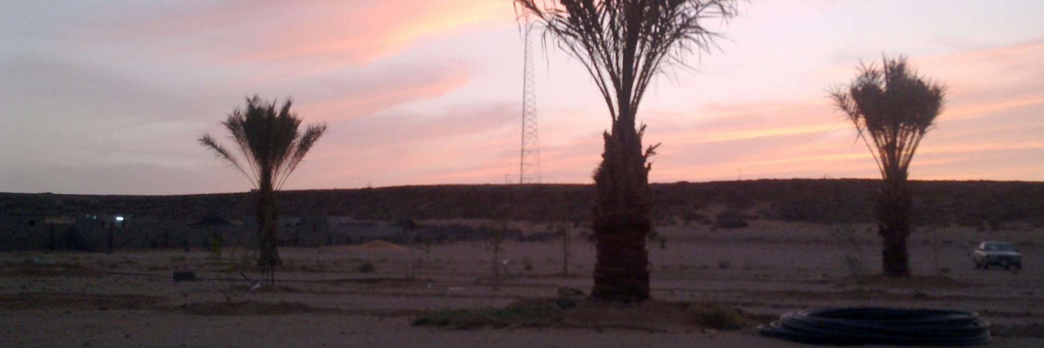 hailalsfn's profile banner image