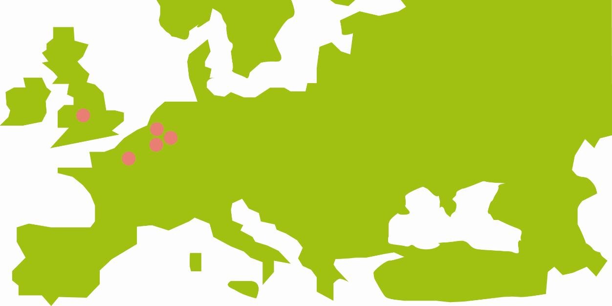 BioenergyEurope's profile banner image