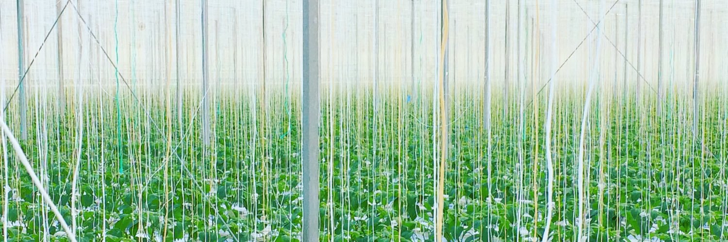 rafael lesmes banner