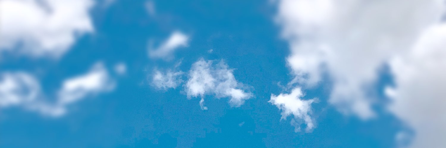 Clara Bailez banner