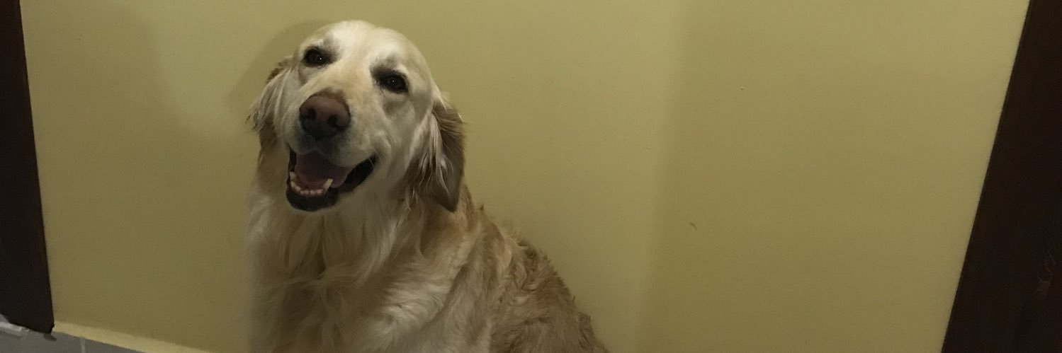 mehtaptreyll's profile banner image
