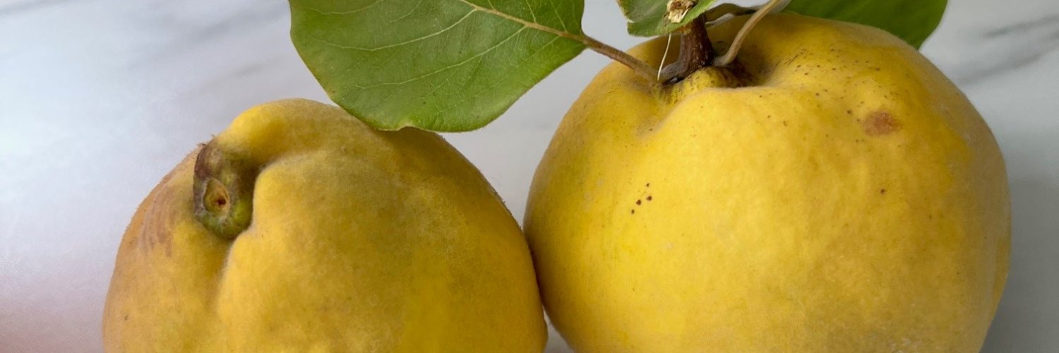 Claudia Ciovica banner