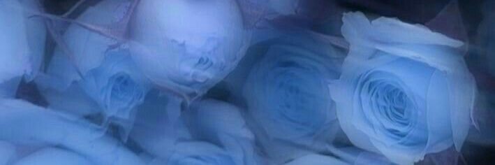 _Anqhylaxis's profile banner image