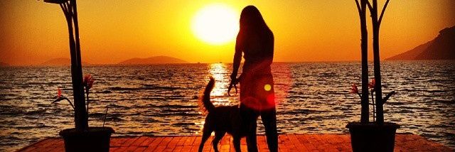 adalinabalad's profile banner image