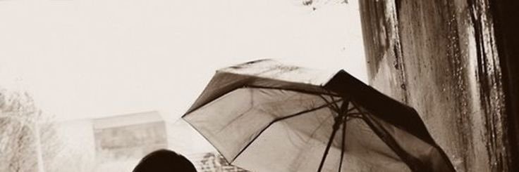 mn_al222's profile banner image