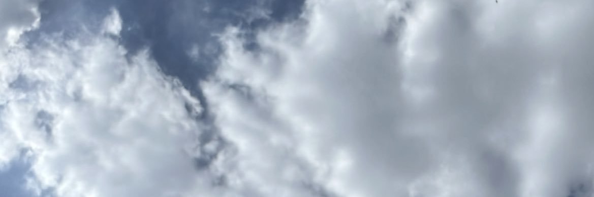 Ghalia abduljabbar banner