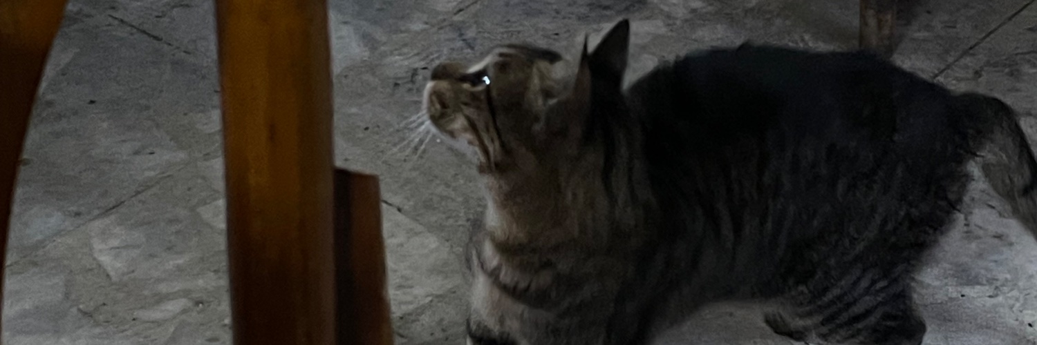 s_riss's profile banner image