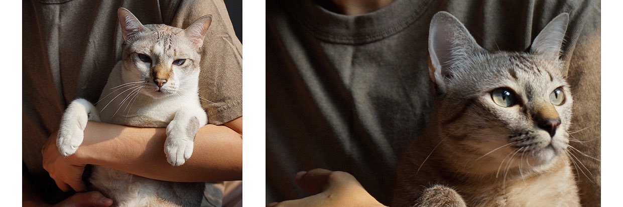 thebookisolated's profile banner image