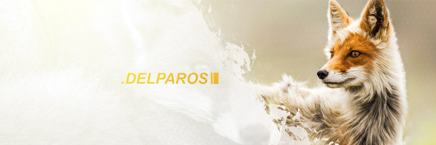 Delparos's profile banner image