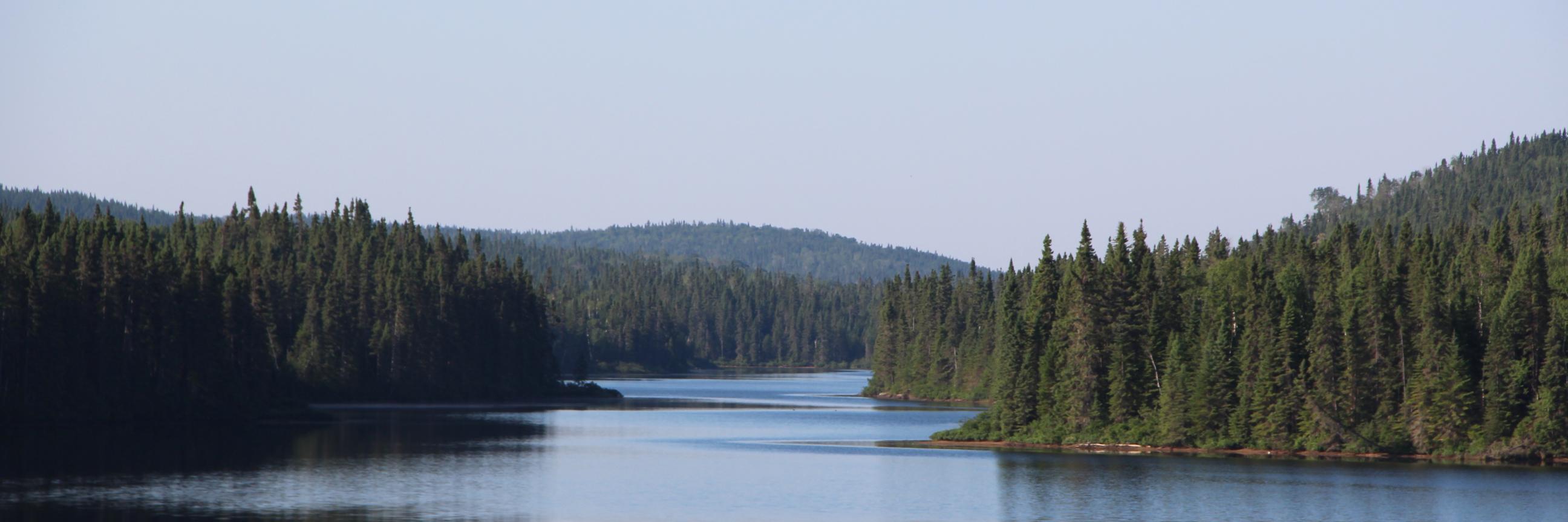 Cedric Claus @127.0.0.1 banner