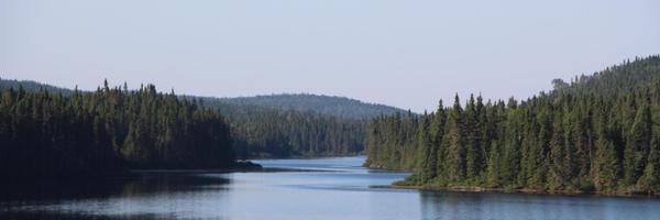 ccl4c Profile Banner