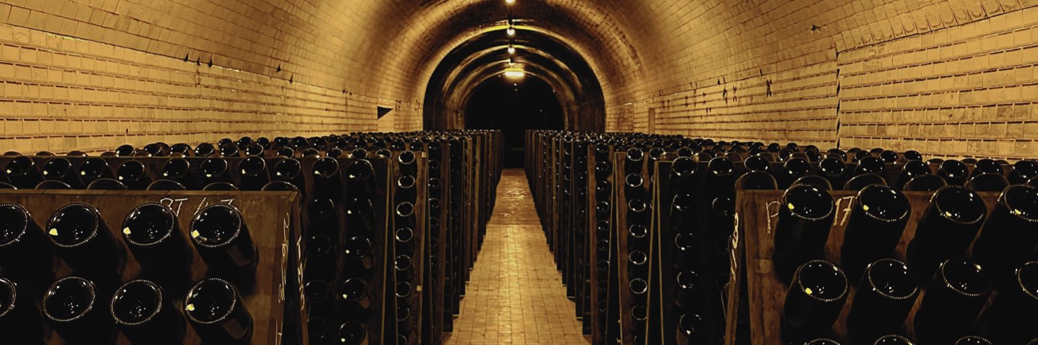 SaintGiovese🍷 banner