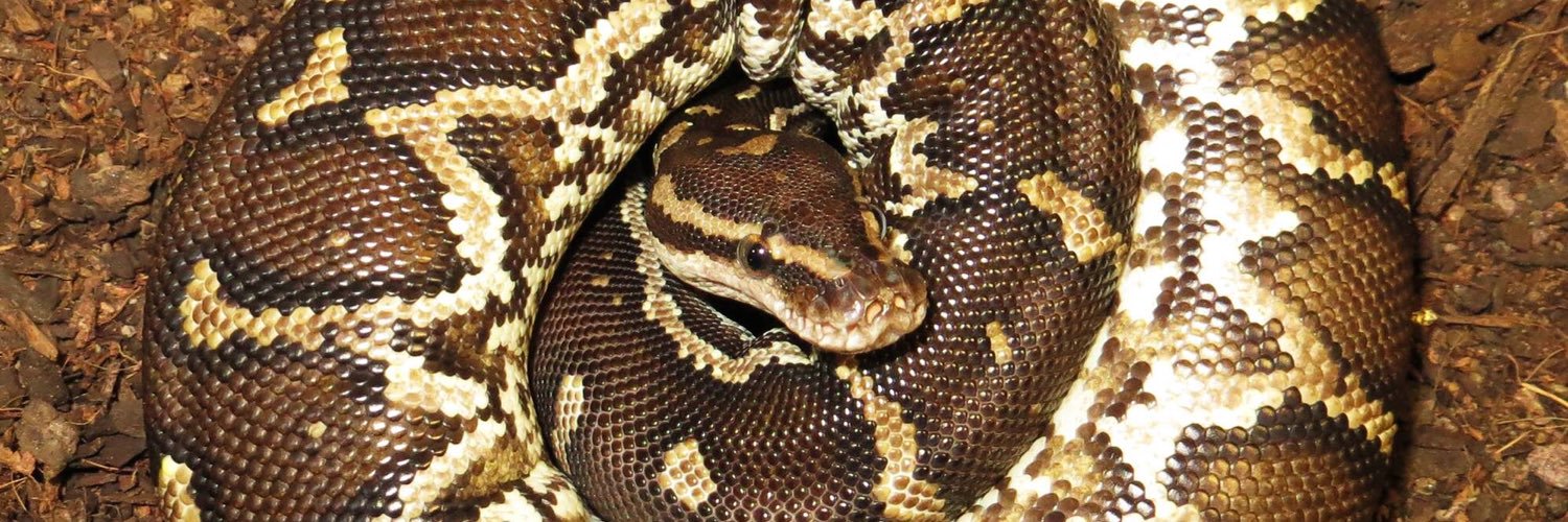 ReptiMaxSA's profile banner image