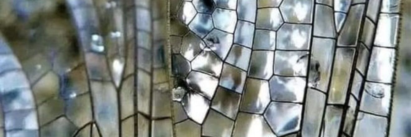 spimees's profile banner image
