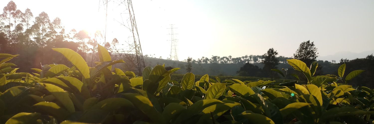 mentericorps's profile banner image