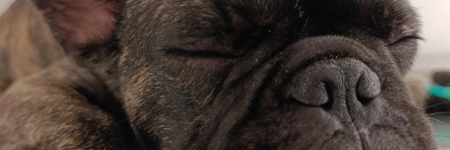 gonzwalter's profile banner image