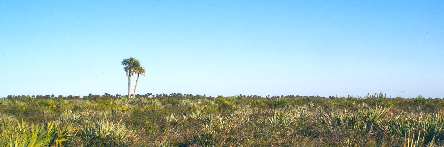 Wesley Chambers banner