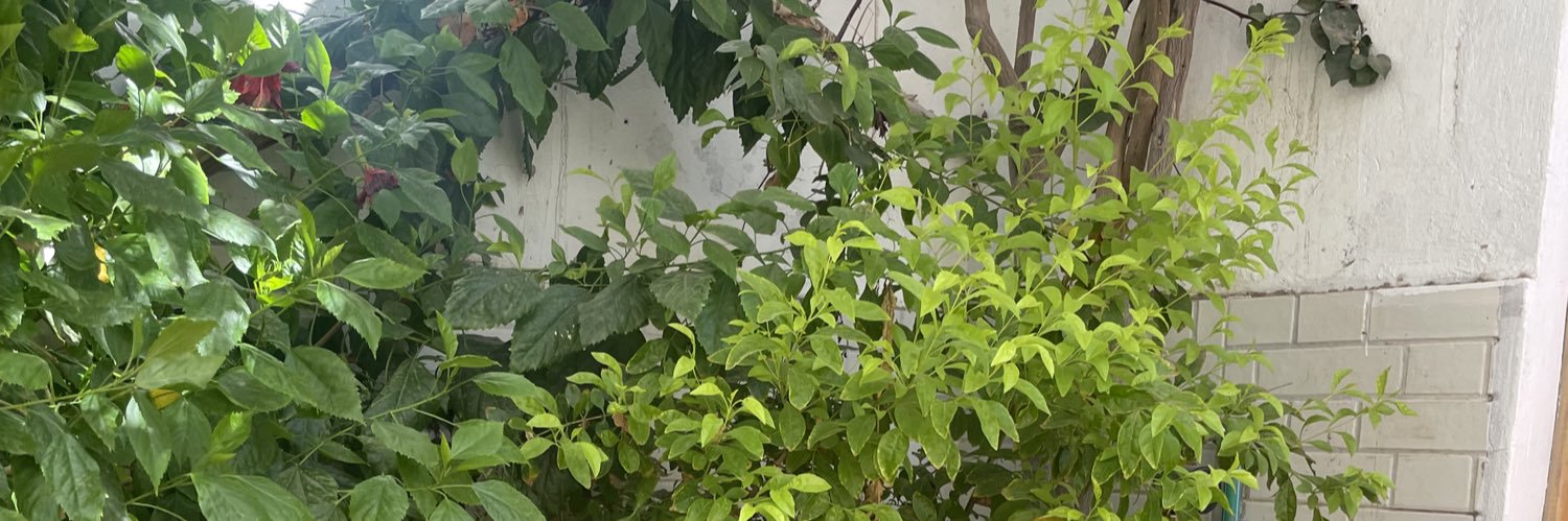 Force__'s profile banner image
