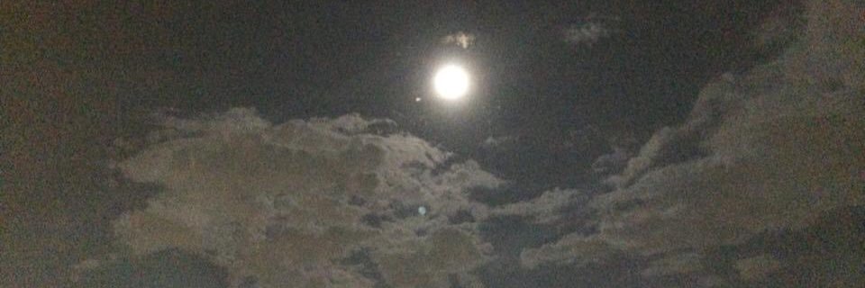 _LAI_R_'s profile banner image
