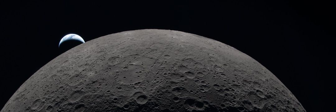 ダヴァ 🟡⚫🚭🦜 banner