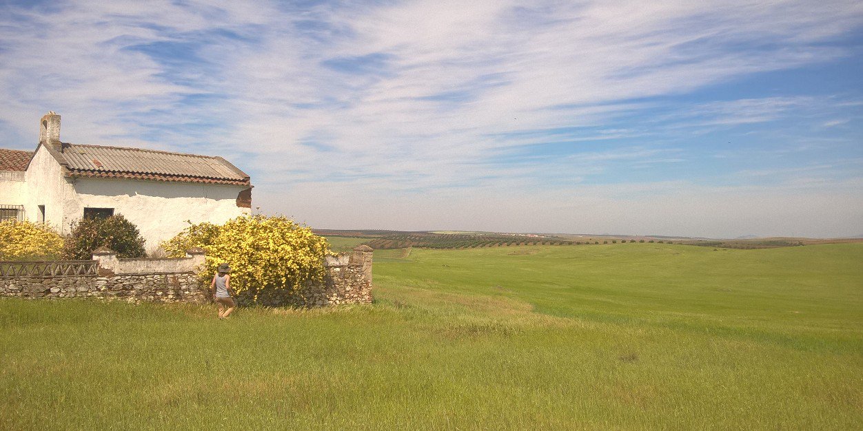 elaeagnus4's profile banner image