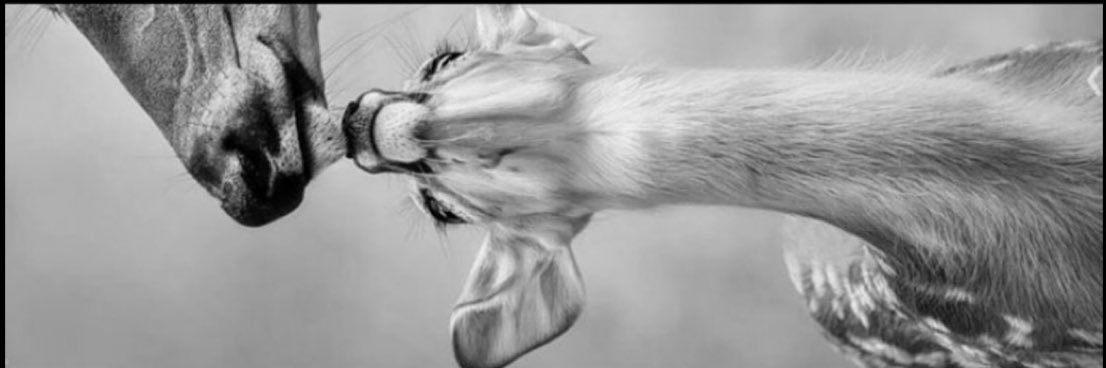 Mleee7h's profile banner image