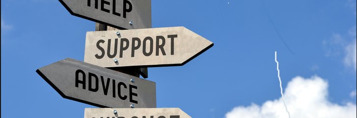 amalopaz's profile banner image