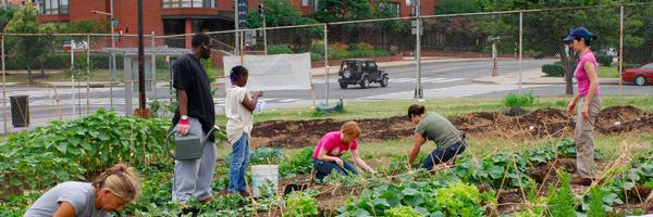 RootingDC Profile Banner