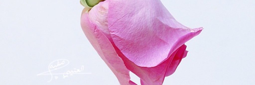 safeiah22's profile banner image