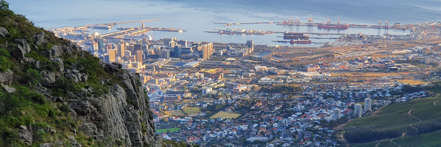 Waldimar Pelser banner