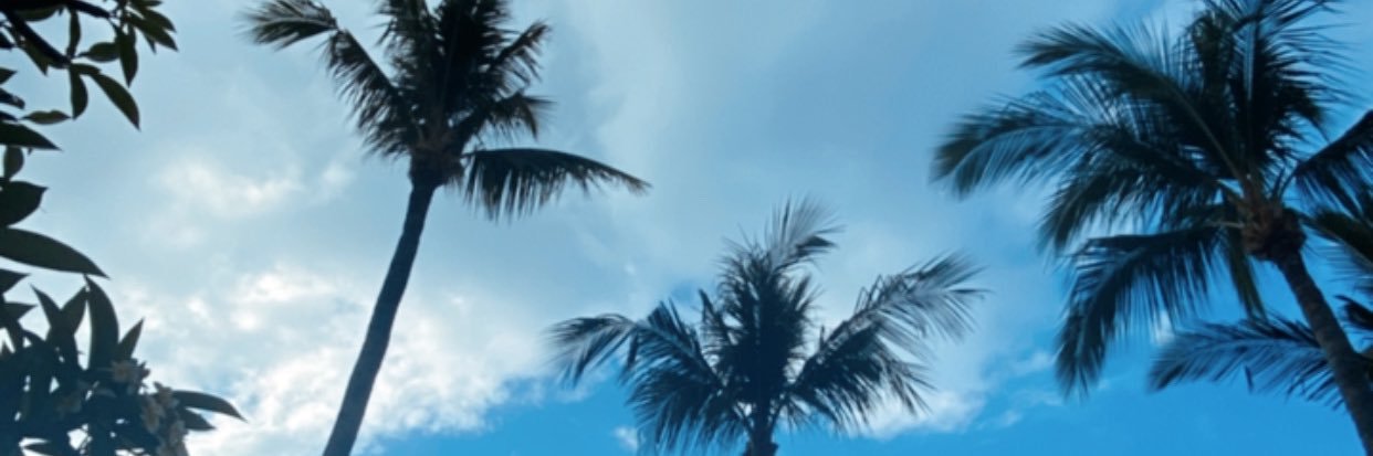 trisya_hany's profile banner image