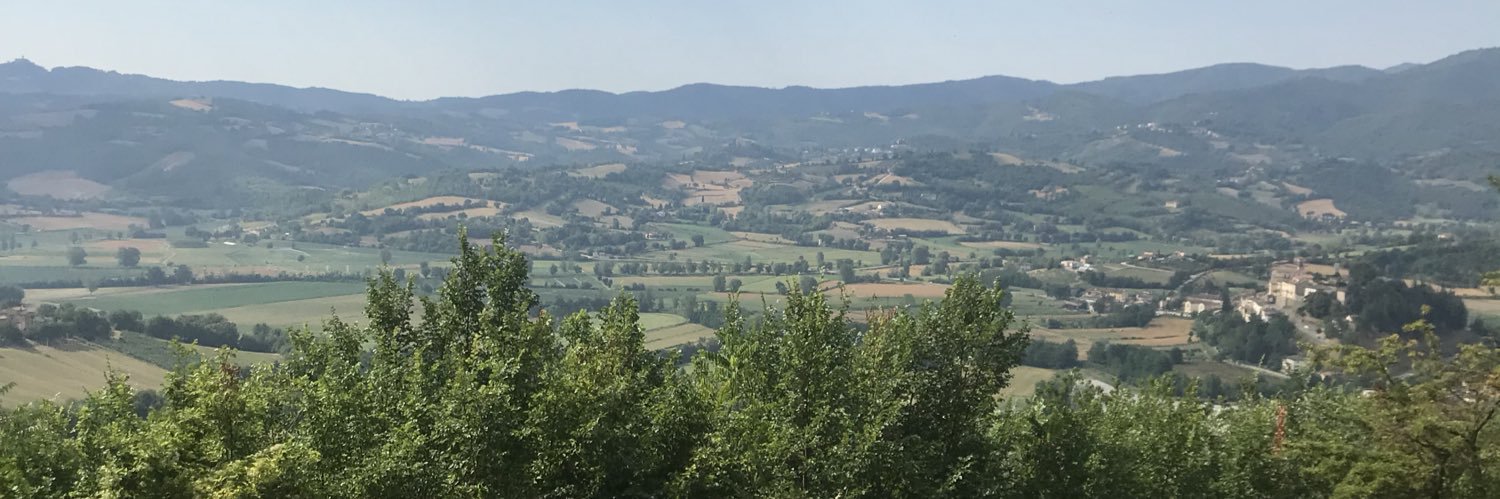 SarahAllen75's profile banner image