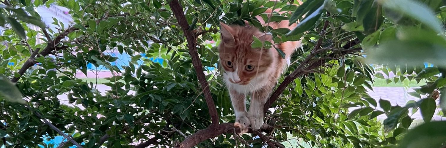 etemtokat's profile banner image