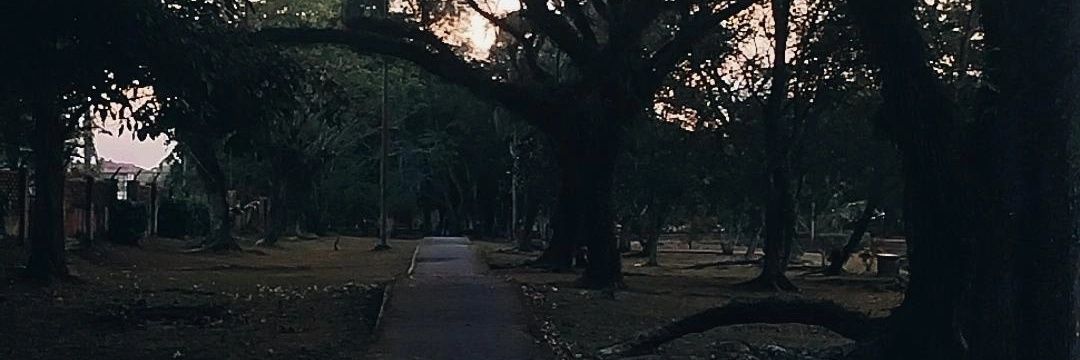 _stnrfthh's profile banner image