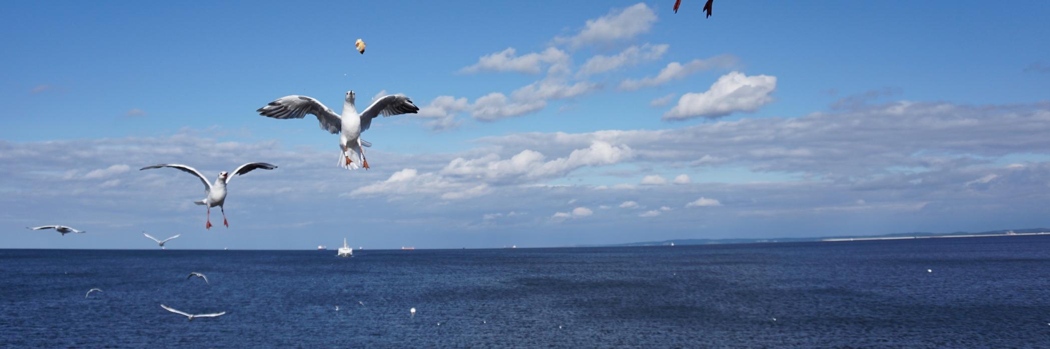 StephenHofmann's profile banner image