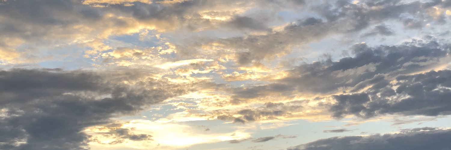 mayko__t's profile banner image